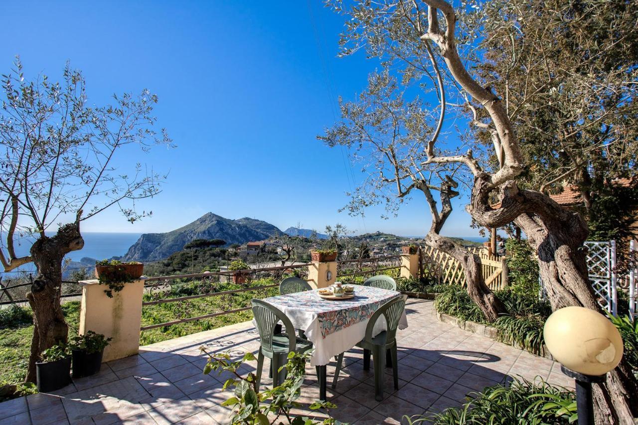Il Pioppo - Country House Sea View Massa Lubrense Zewnętrze zdjęcie