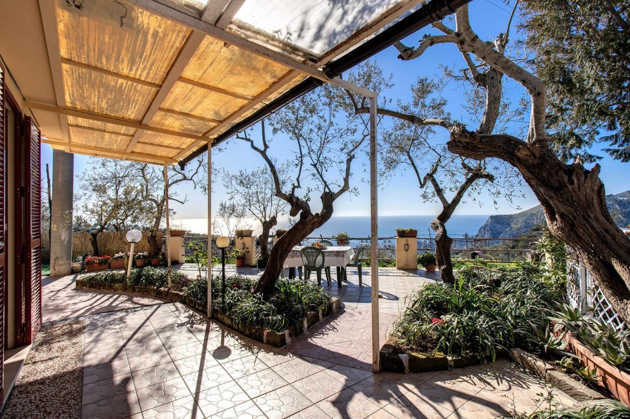 Il Pioppo - Country House Sea View Massa Lubrense Zewnętrze zdjęcie