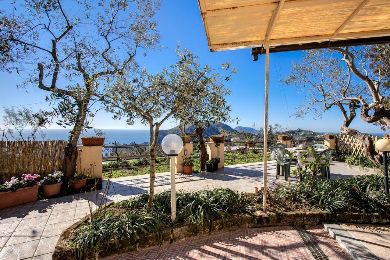 Il Pioppo - Country House Sea View Massa Lubrense Zewnętrze zdjęcie