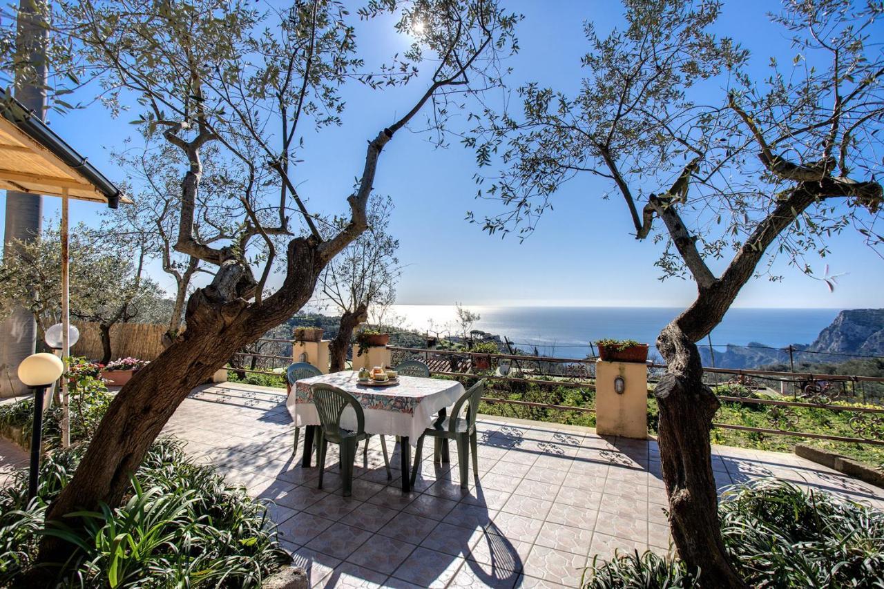 Il Pioppo - Country House Sea View Massa Lubrense Zewnętrze zdjęcie